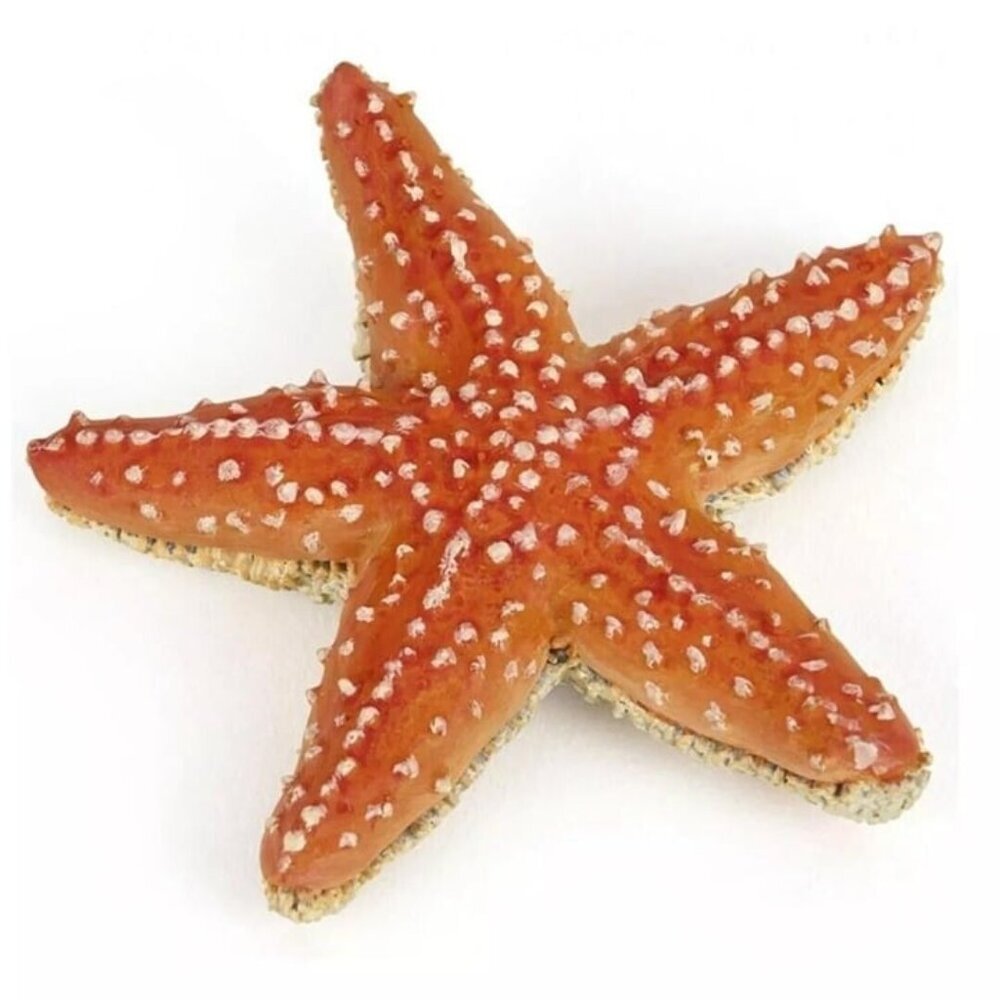 Starfish Sea Life Figure - Hand Painted Collectible Toy Figurine - NEW Papo